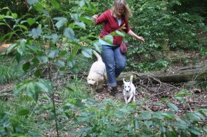 Agility mit Frauchen